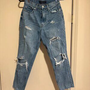 American Eagle Curvy Mom Jean - Size 2